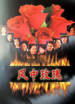 风中玫瑰第01集