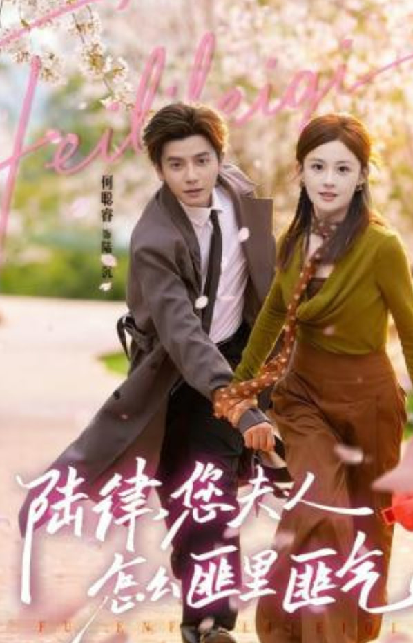 陆律，您夫人怎么匪里匪气(全集)