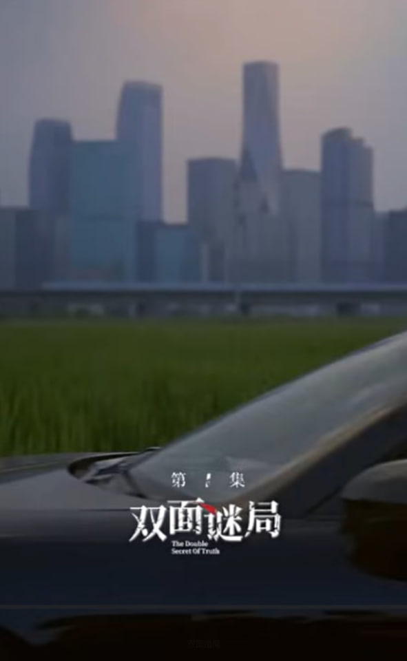 双面婚局(全集)