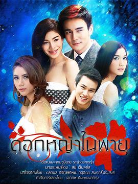 暴风中的草花第03集