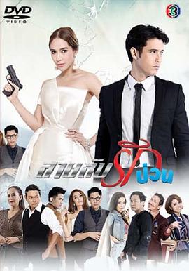 间谍情迷第12集