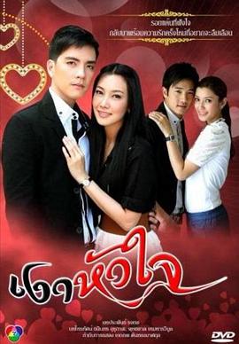 心影第16集(大结局)