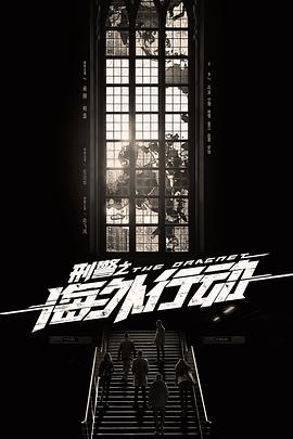 刑警之海外行动第09集