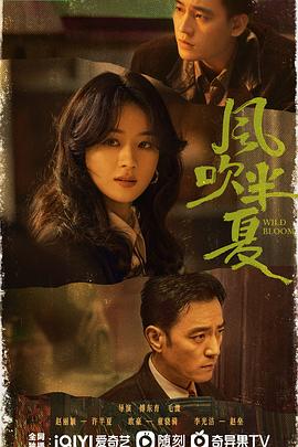 风吹半夏第16集