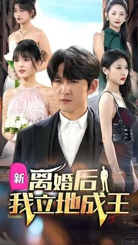离婚后我立地成王全集(大结局)