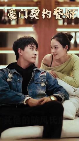 豪门契约赘婿全集(大结局)