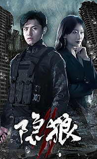 隐狼全集(大结局)