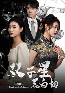 双子星黑白切全集(大结局)
