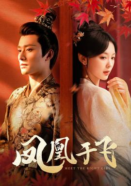 凤凰于飞全集(大结局)