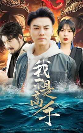 我不是高手全集(大结局)