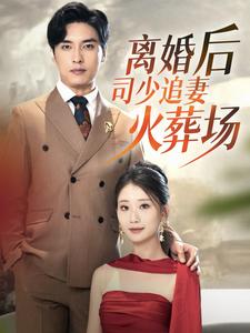离婚后司少追妻火葬场全集(大结局)
