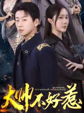 大帅不好惹全集(大结局)