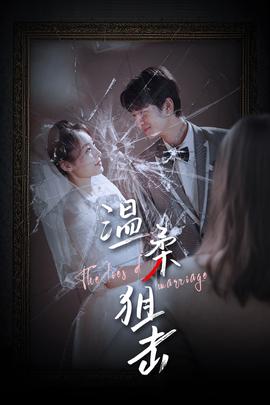 温柔狙击&婚姻迷雾全集(大结局)