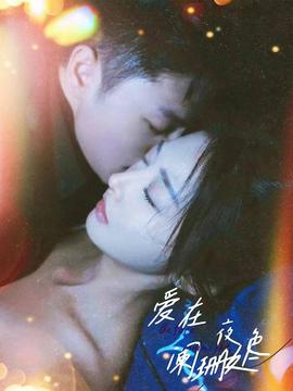 爱在夜色阑珊处全集(大结局)