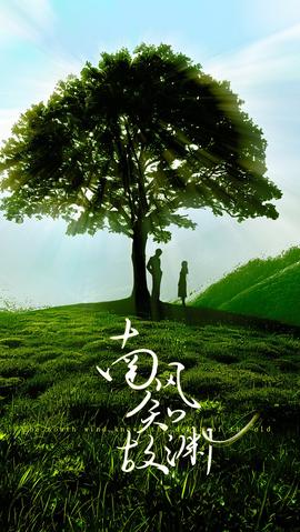 南风知故渊全集(大结局)