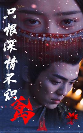 只恨深情不识鸢全集(大结局)