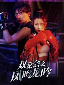 双龙会之凤鸣龙吟全集(大结局)