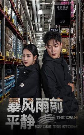 暴风雨前的平静全集(大结局)