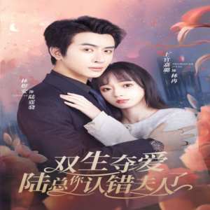 双生夺爱陆总你认错夫人了全集(大结局)