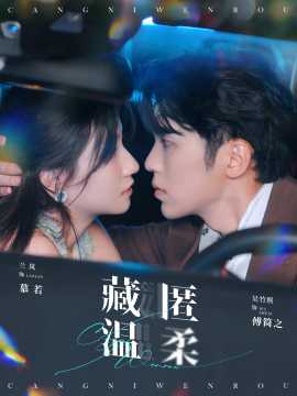 藏匿温柔全集(大结局)