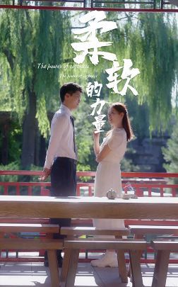 柔软的力量全集(大结局)