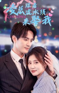 凌总踩着流水线来娶我全集(大结局)