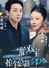 一胎双宝，抢个总裁当爹地全集(大结局)