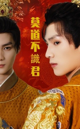 莫道不识君全集(大结局)