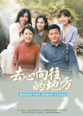 去心向往的地方全集(大结局)