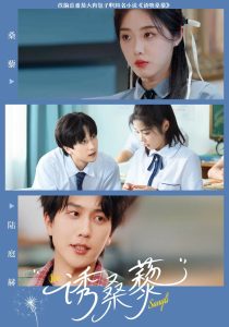 诱桑藜全集(大结局)