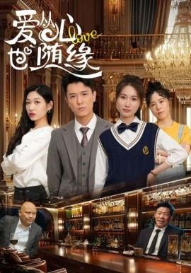 爱从心也随缘全集(大结局)