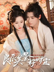 良辰美景好时宜全集(大结局)