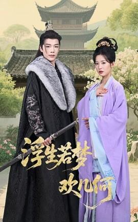 浮生若梦欢几何全集(大结局)