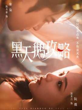 黑天鹅攻略全集(大结局)