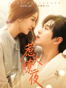 惹火燎夜全集(大结局)