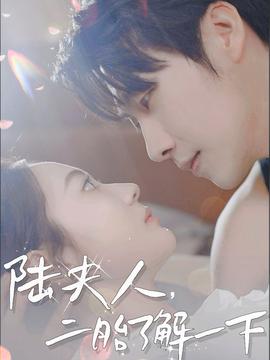 陆夫人，二胎了解一下全集(大结局)