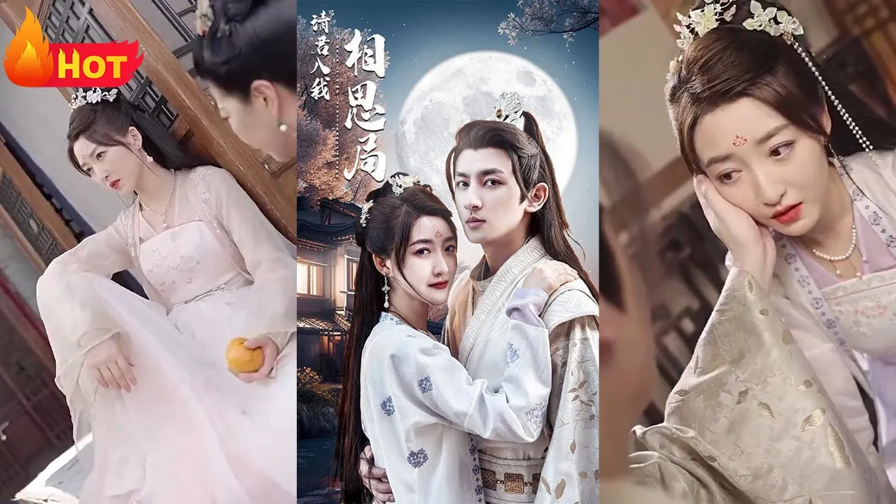 请君入我相思局1-20集